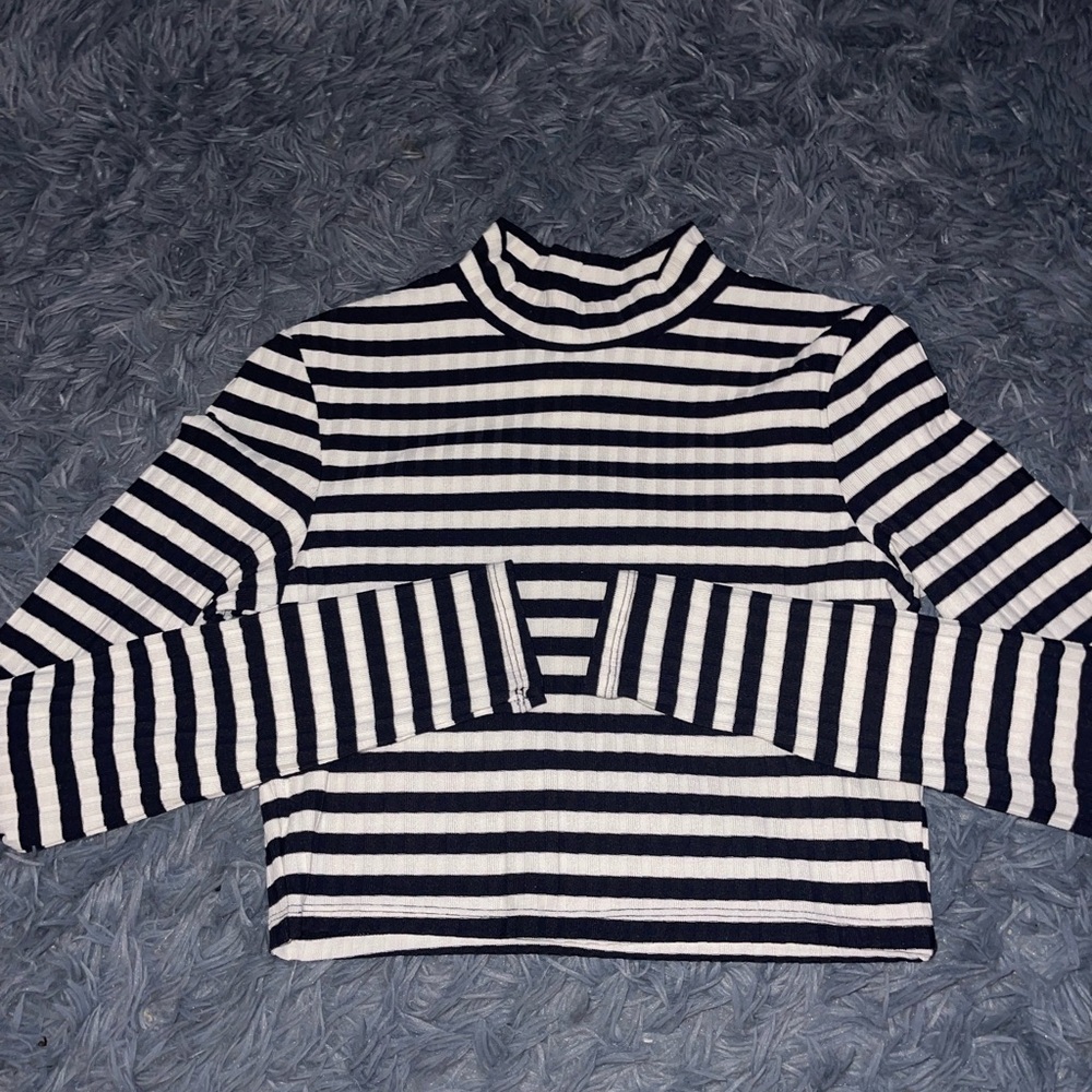 striped long sleeve crop top with turtle neck